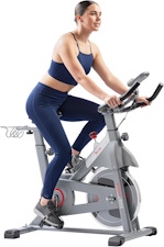 Sunny Health & Fitness Indoor Bike
